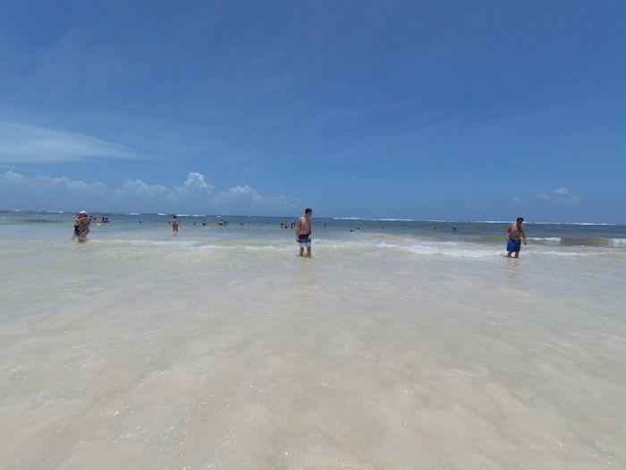 Riviera maya y el sargazo - 1