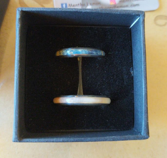 Nuestros anillos 2