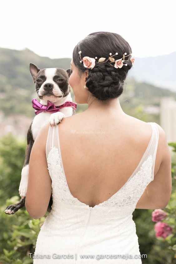 mascota boda