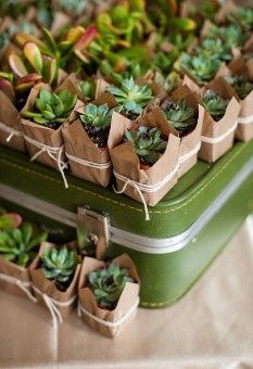 Idea verde