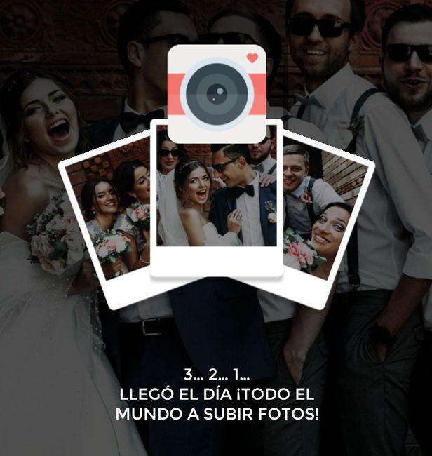 WEDSHOOTS, la app para compartir fotos de boda ¡Descárgala! 1
