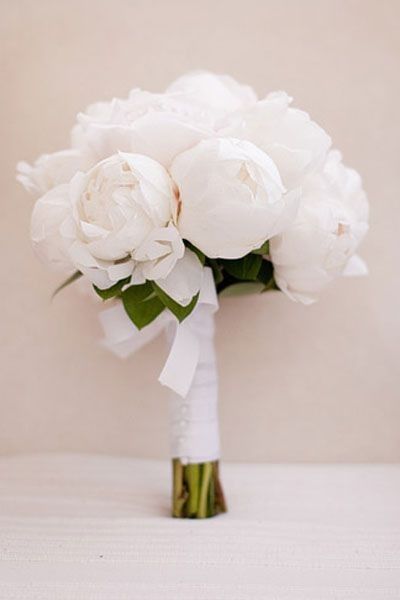 Peonias blancas