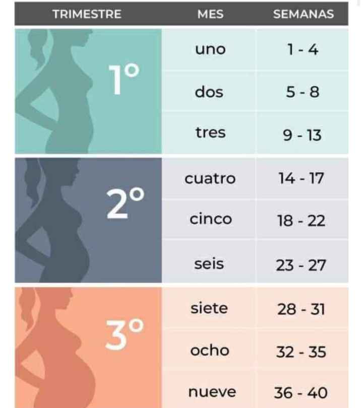 Proceso tratamiento fiv - 1