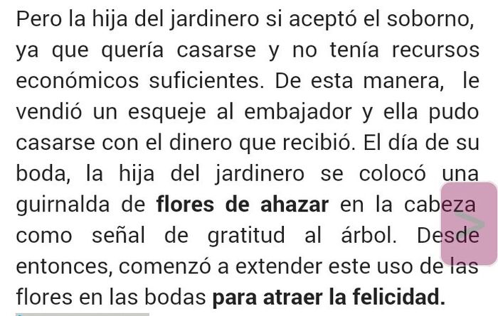 Flor de azahar - 2