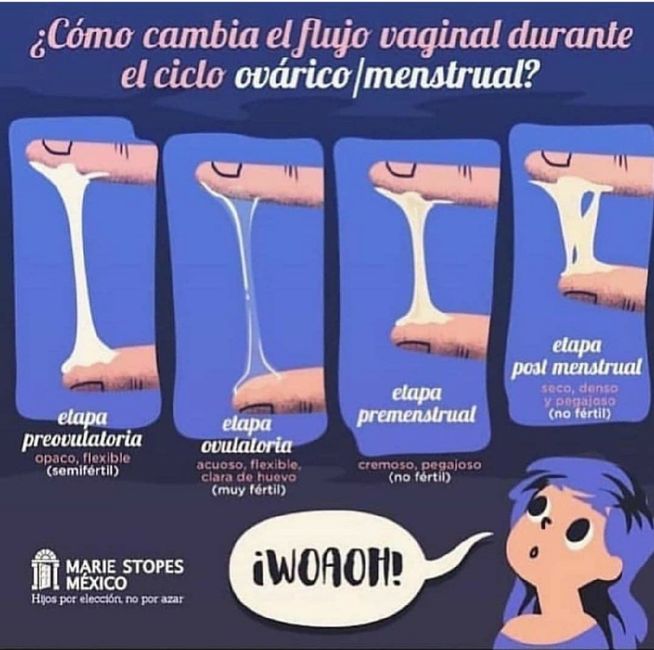 Buscadoras Abril 2019 1