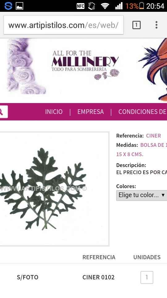 Flores preservadas - 3