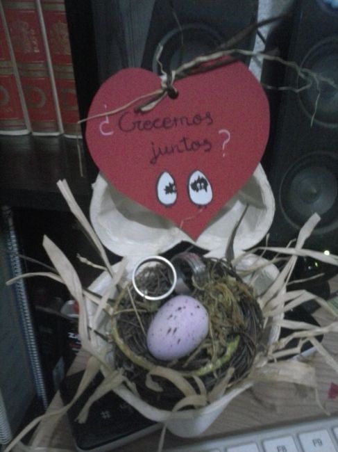 portaalianzas campestre low cost