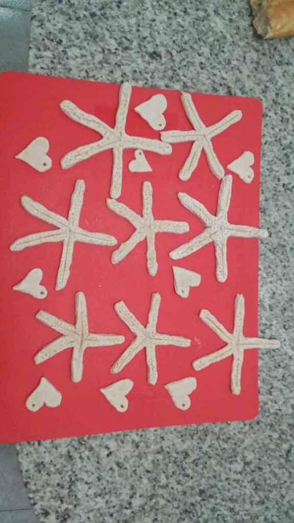 Estrellas de mar diy - 1