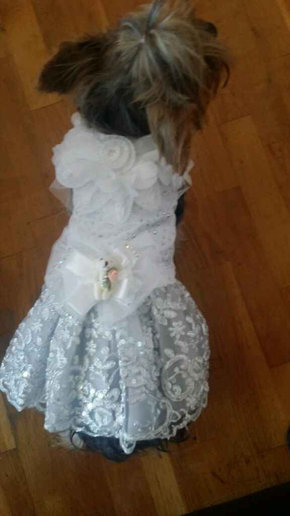 El vestido de novia de mi york shire! - 3