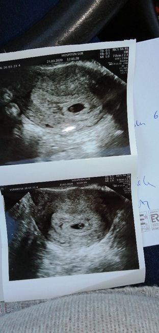 Futuras mamas noviembre 2020 1