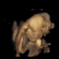 Mamas Marzo 2020 - 1