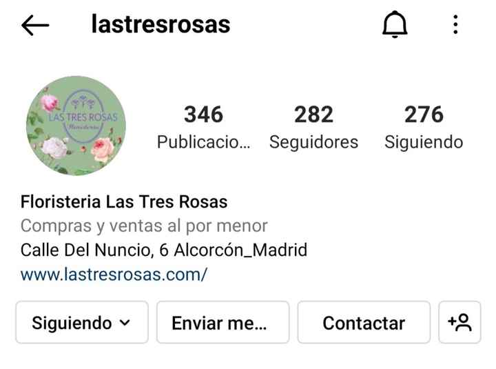 Ayuda ramo de novia - 1