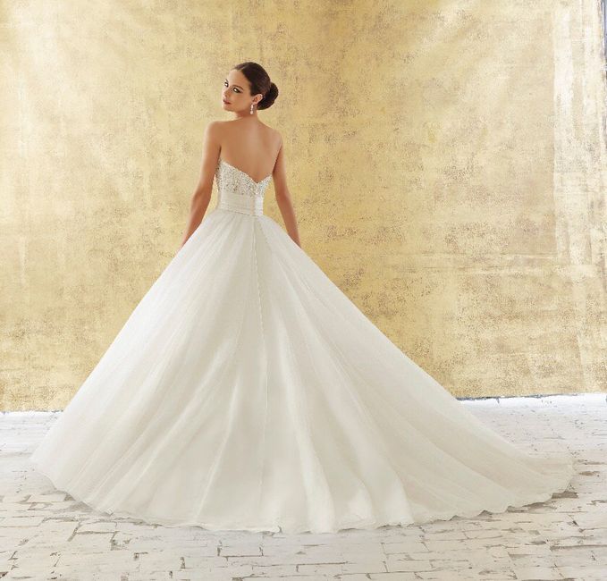 Dudas entre dos vestidos - 1