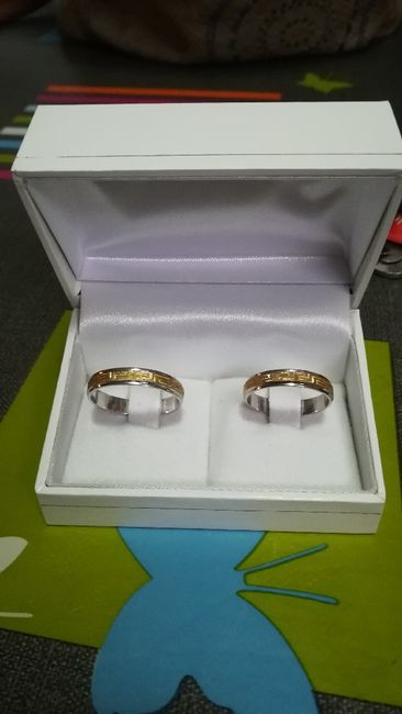 ¿Qué material escogerías para tus alianzas? 1