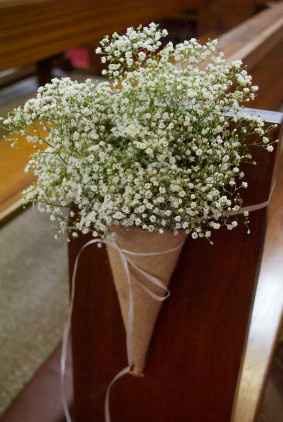 7.Decoración banco cono con paniculata