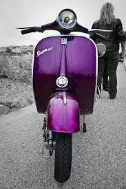 3. Vespa morada