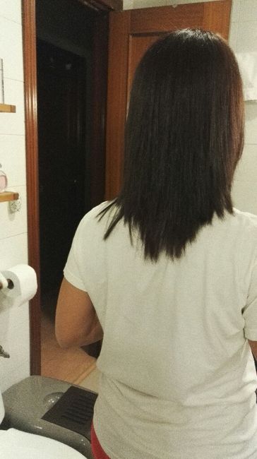  Nueva plancha de pelo - 1