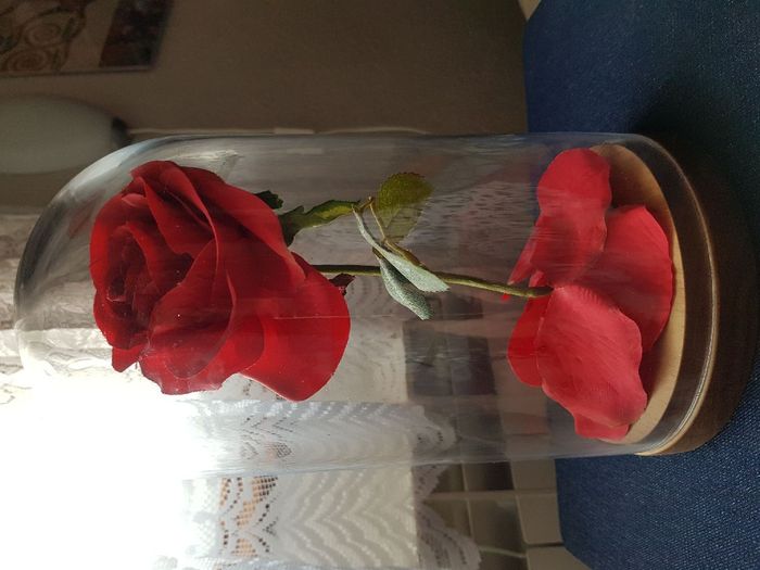 Rosa de La Bella y la Bestia - 1