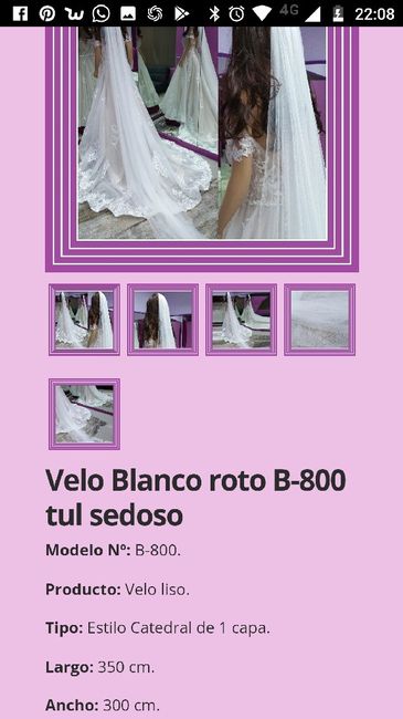 Tipo de velo y largo - 1