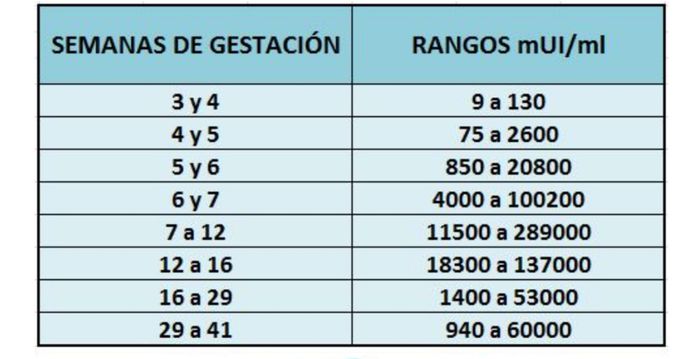 Buscadoras más de 1 año - 2022 1