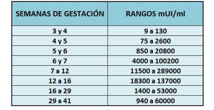 Buscadoras más de 1 año - 2022 - 1