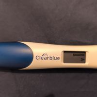 Buscadoras más de 1 año - 2022 - 1