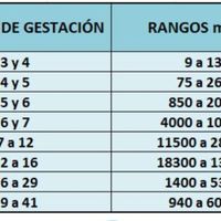 Buscadoras más de 1 año - 2022 - 1