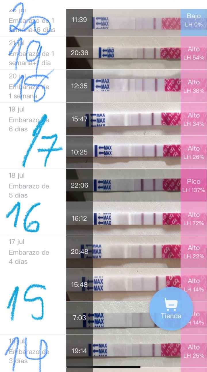 Buscadora Julio 2023 ❤️ - 1