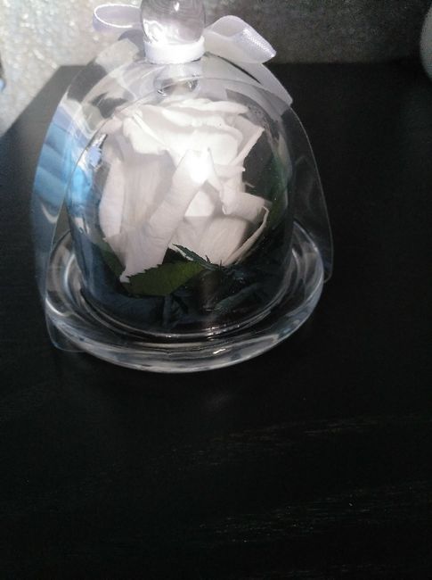 Rosa eterna - 5
