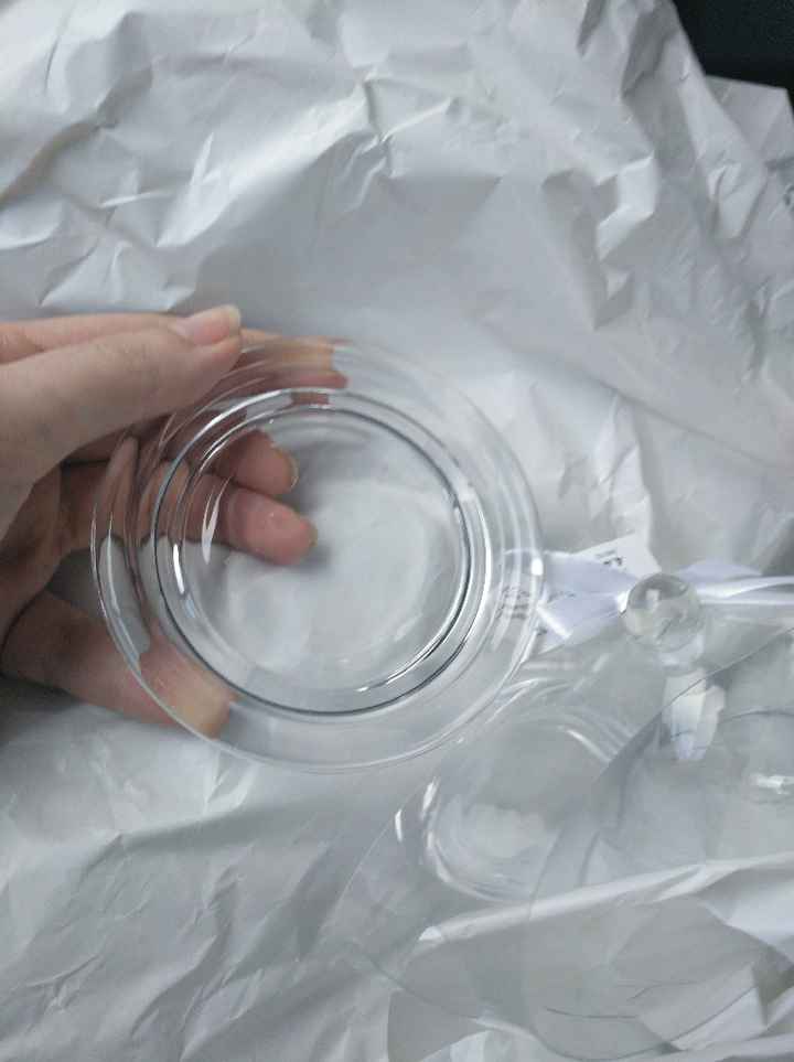 Rosa eterna - 4