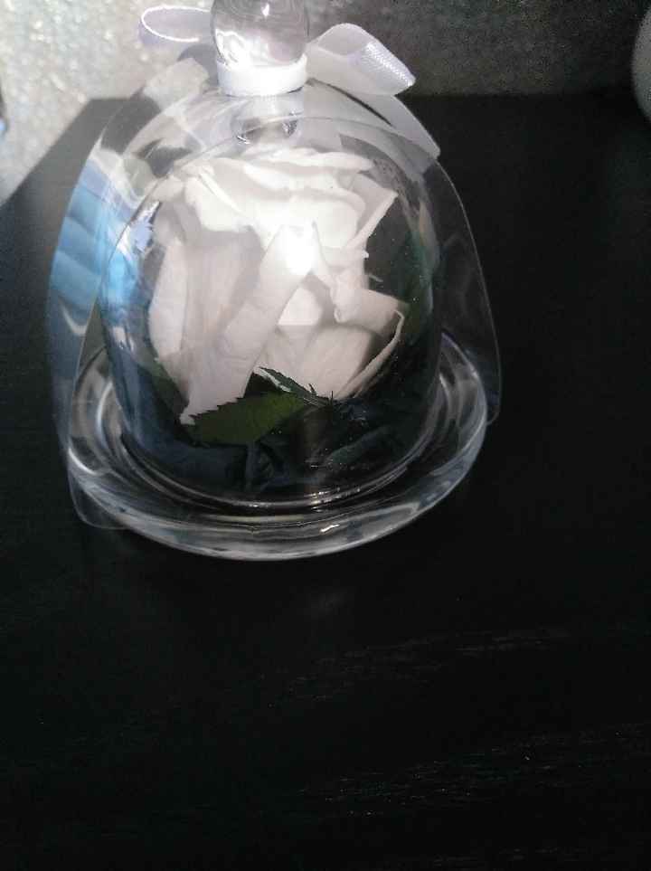 Rosa eterna - 5
