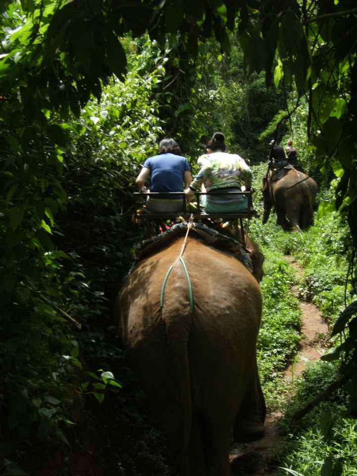 Montados en elefante