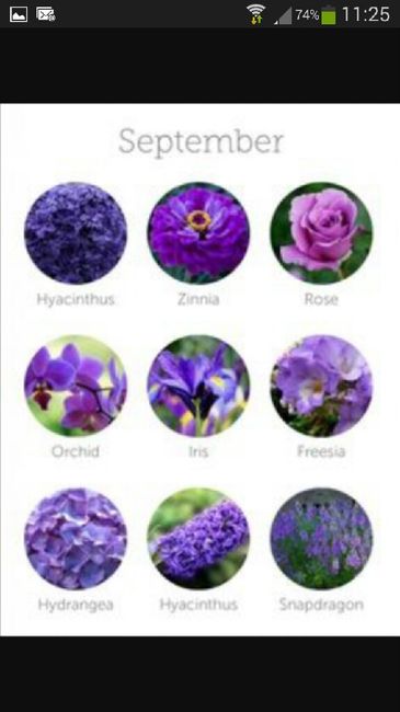 Flores en septiembre? - 1