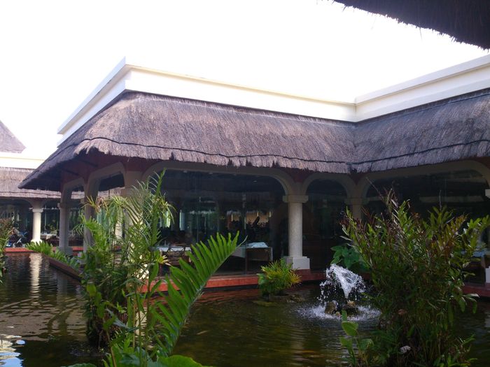 Nuestra luna de miel en la riviera maya. hotel grand palladium! - 3