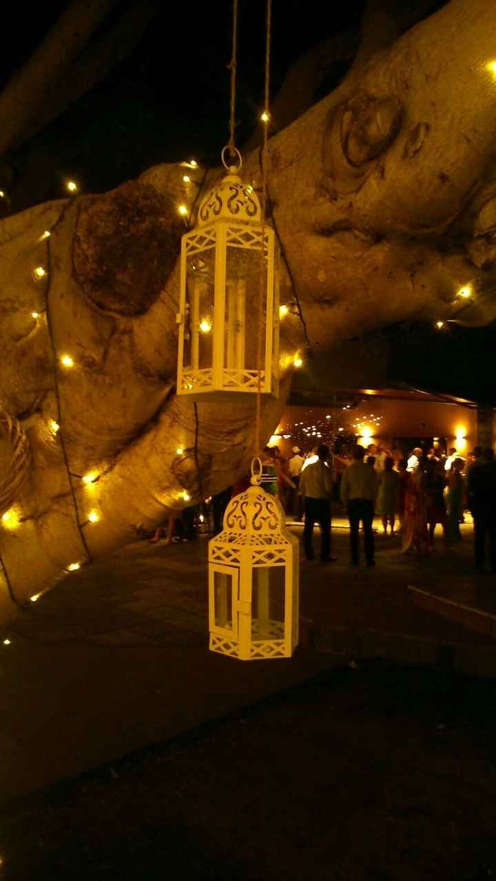 Luces y farolillos
