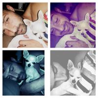 Nuestras mascotas!! - 2