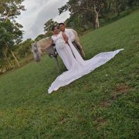 Seccion fotografica - 2