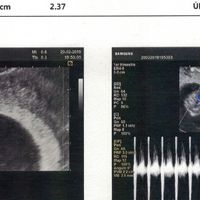 Futuras mamás septiembre 2019 - 1