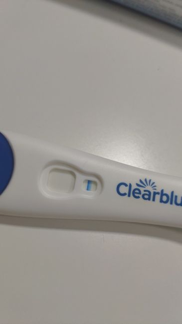 Test embarazo positivo? 3