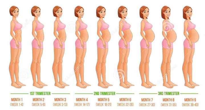 Evolución del embarazo