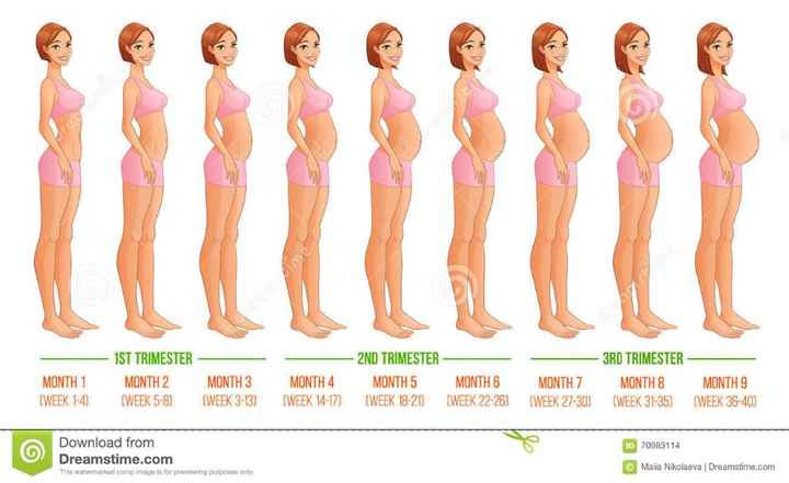 Evolución del embarazo