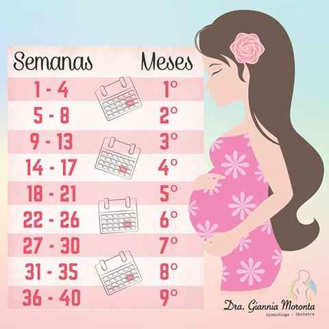 Semanas Vs Meses