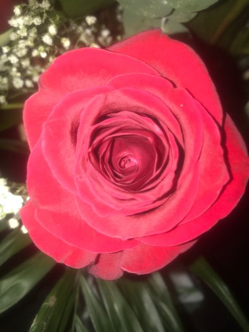  Regalo de mi chico - 2
