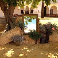 Bodas en 2016 en Sevilla - 3