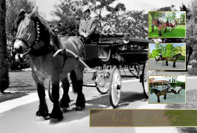 JARDINES - 3