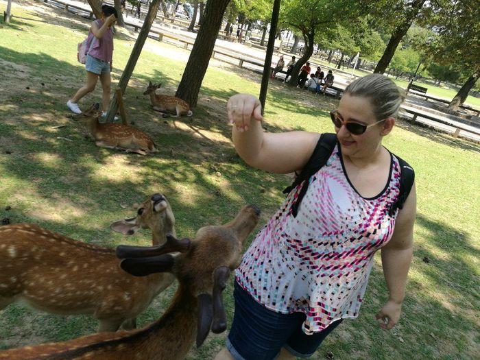 Japón, ya he vuelto y no me quería volver! - 3
