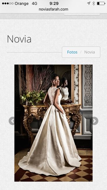 Yo no qiero un vestido blanco me gustaría en un color plata o dorado y quizás rosas pastel - 5