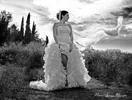 Modelo anat de aire barcelona 2015 - 1