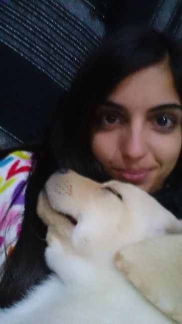 Nuestras mascotas!! - 1