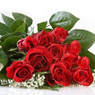 Mª De